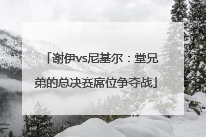 谢伊vs尼基尔：堂兄弟的总决赛席位争夺战
